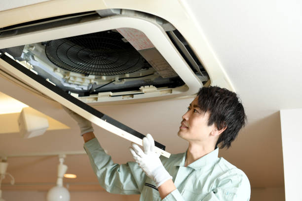 Best Home Air Vent Cleaning  in Eyota, MN